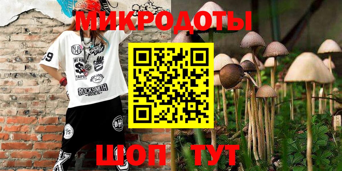Галлюциногенные грибы MAGIC MUSHROOMS  Вход с VPN  Новокуйбышевск 